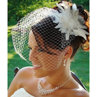 IVORY Feather Bridal Rhinestone Headpiece Cage Veil with Clip
