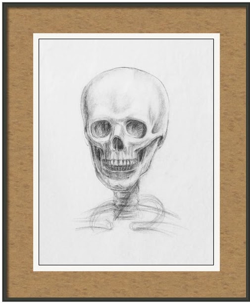 Anatomical Study