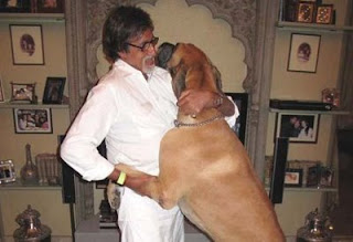 Amitabh Bachchan Introduces The Bachchan's Dog 