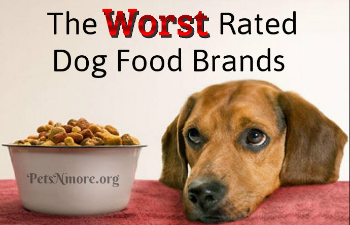 Pets N More: The Worst Rated Dog Food Brands