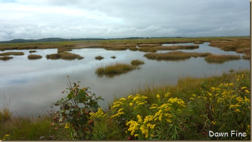 Plum Island_006 (1)