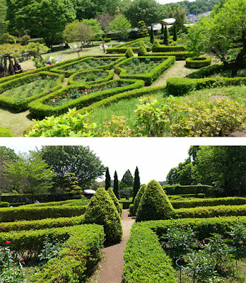 町田ぼたん園