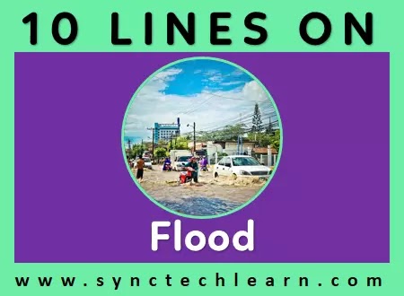 10 lines on flood in english