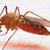 Wagonjwa wa dengue wafikia 376