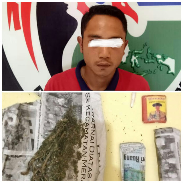 Polres Pagaralam Amankan Ganja seberat 23,88 gram