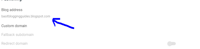 Choose Domain Name