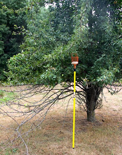 photo of extensible pear picker