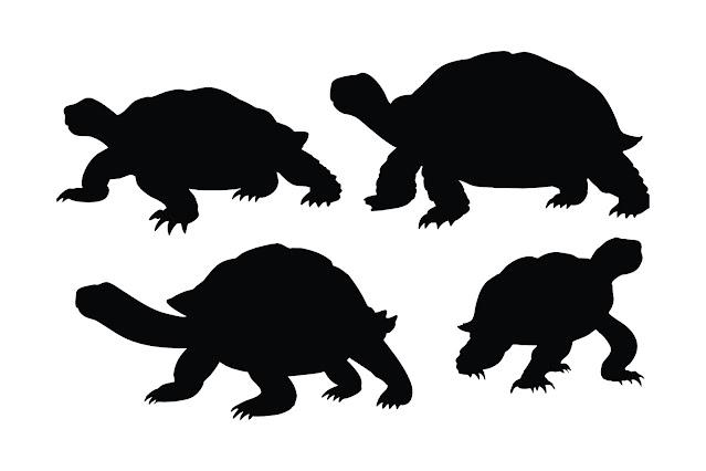 Turtle with big claws silhouette vector free download