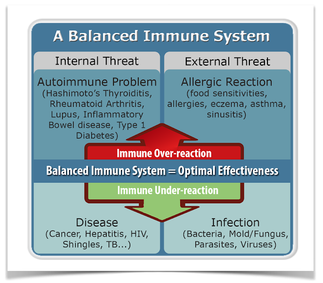 bilancio-sistema-immunitario