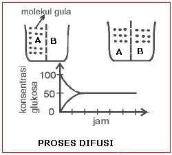 BIOLOGI GONZAGA: SIRKULASI MATERI SEL