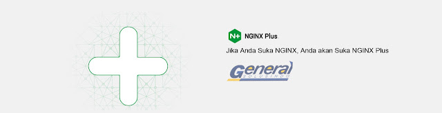 nginx plus