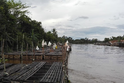Budidaya Ikan Nila di Keramba Bambu dan Kolam Tanah Air Diam
