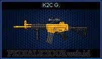 K2C G.