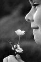 images (3)