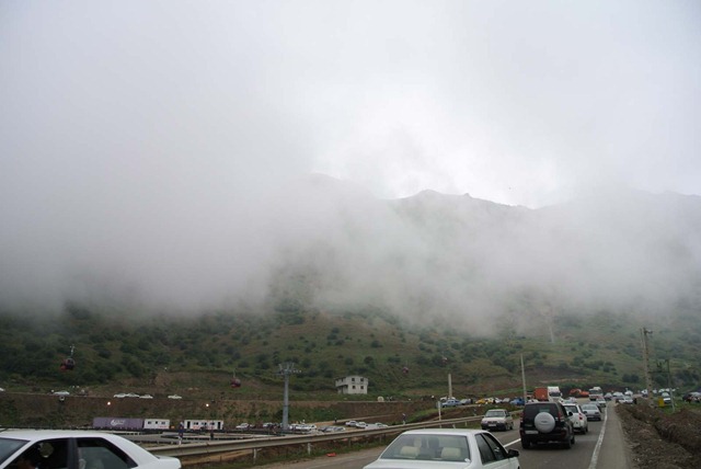 DSC_8568 (2)