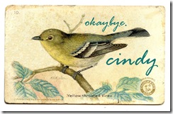 birdvireogfairy004