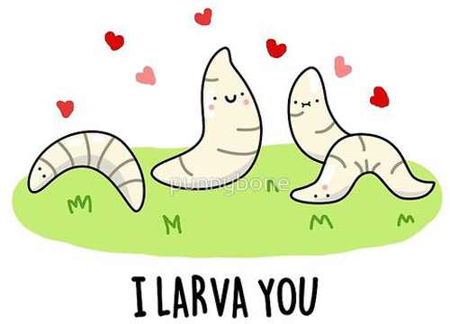 Today Science Humor 13: I Larva You