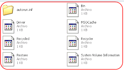 usb show software,show usb hidden files,how to show my hidden files, recover usb flash drive hidden files