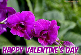 happy valentine day images for love roses