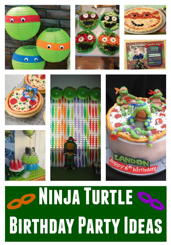  Ninja  Turtle  Birthday  Party  Ideas  Building Our Story