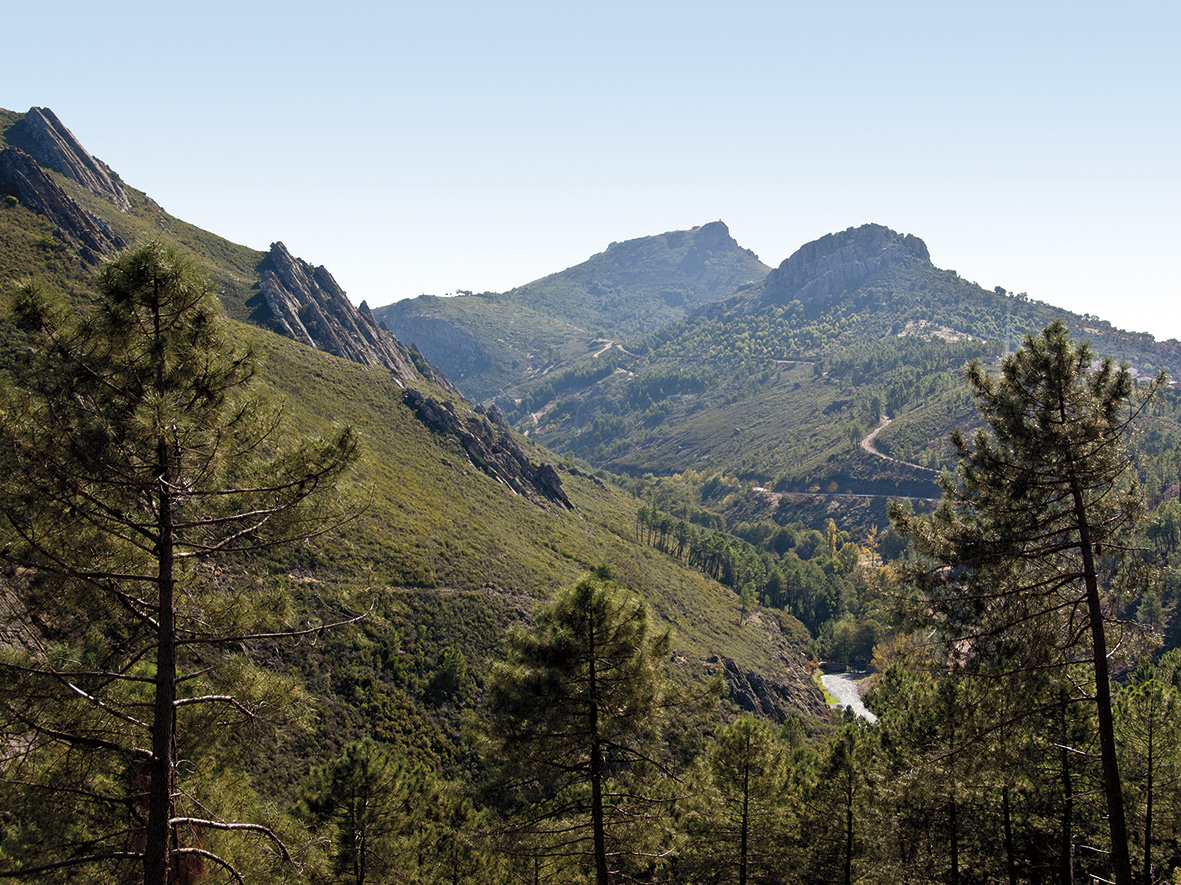 RUTA DE ISABEL LA CATÓLICA