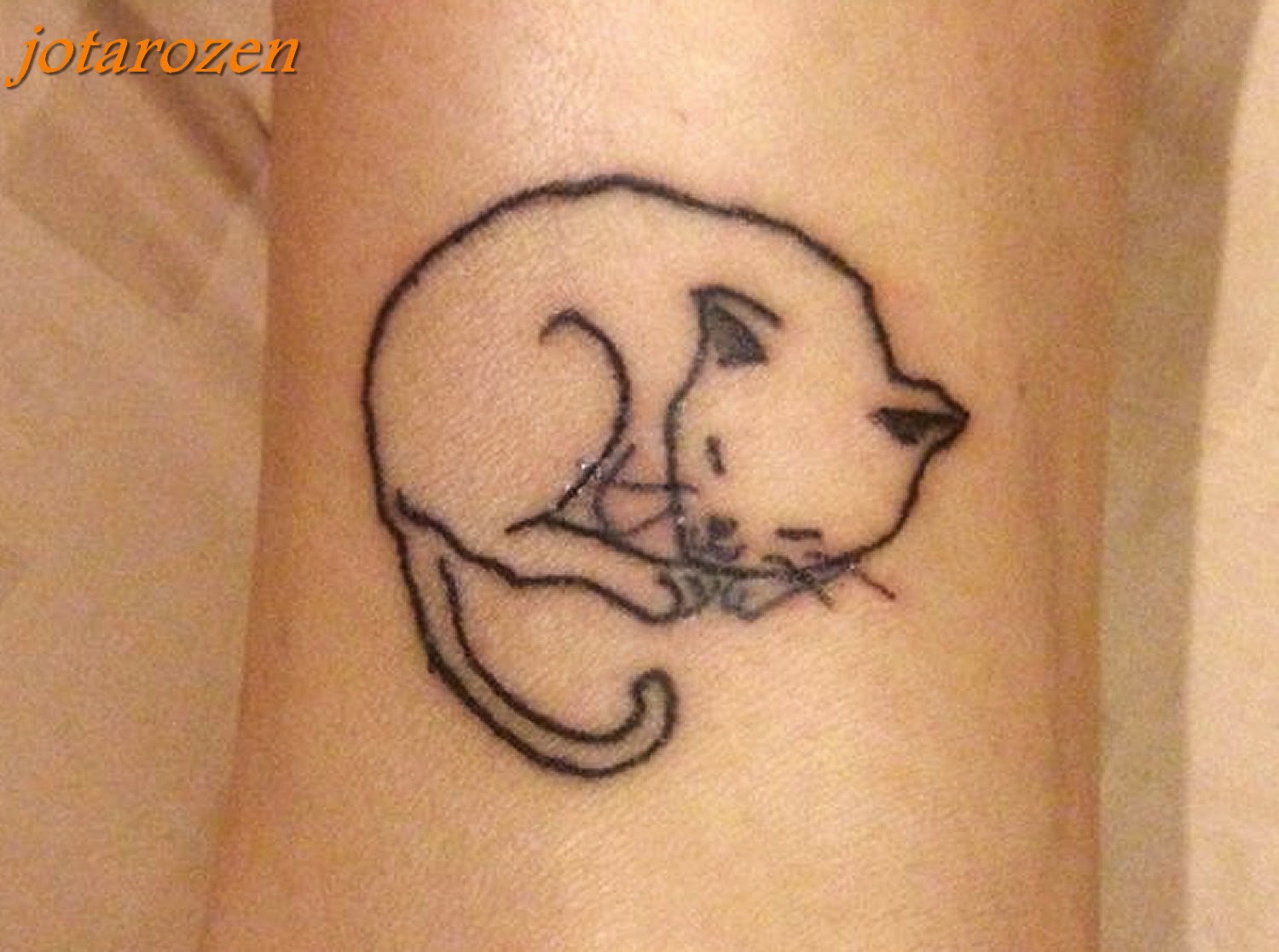 Simple Cat Tattoos "sleeping cat" Simple Cat Face Outline