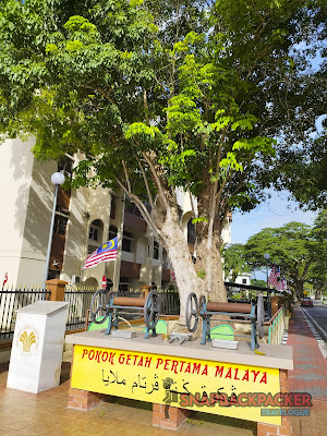 Pokok Getah Pertama Tiba Di Malaya Kuala Kangsar