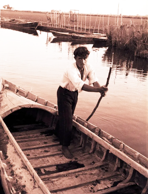 Albufera de Valencia sobre 1950.