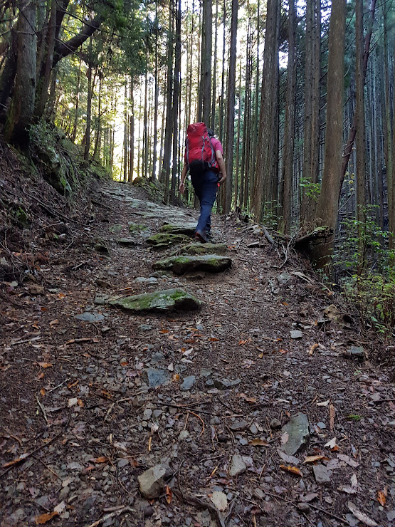 From Takahara to Chikatsuyu–Day 2 of the Kumano Kodo Nakahechi hike