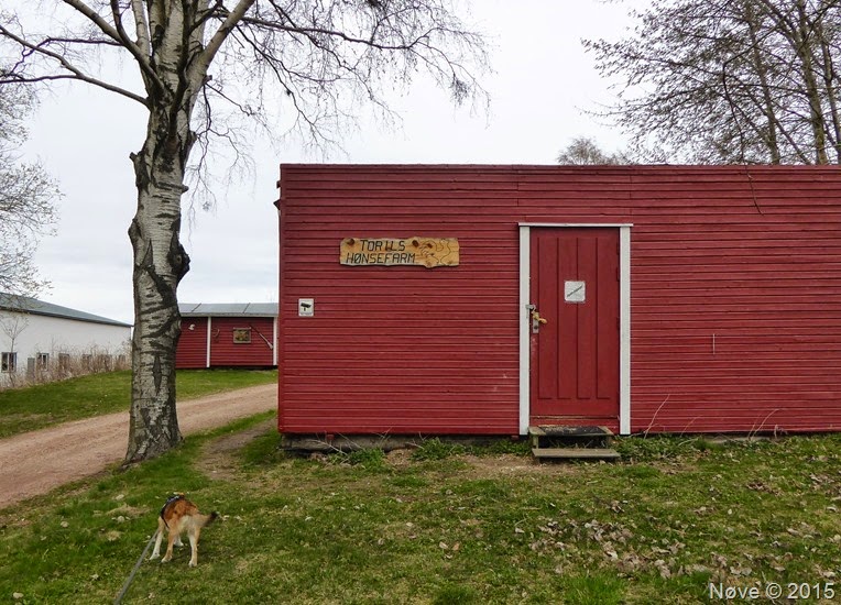 P1040456