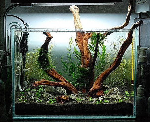 Aquascape Designs