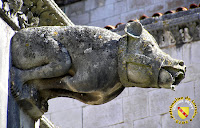 Toul - Cathédrale Saint-Etienne : Gargouille du cloître