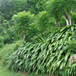 View album
