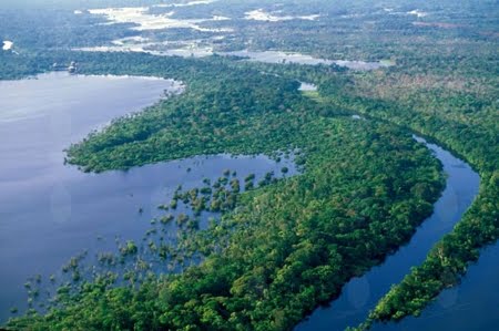 Estação Ecológica de Anavilhanas | Amazonas