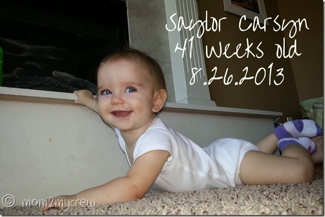 week 41