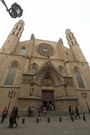 IMG_0549