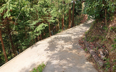 持尾城跡(南河内郡河南町)　真念寺