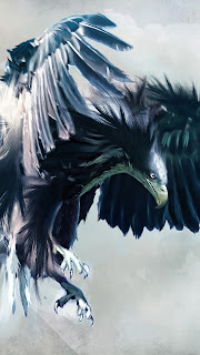 Black Hawk Samsung Galaxy S3 Animal Wallpapers