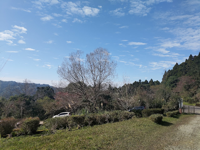 東眼山國家森林遊樂區 - 林道