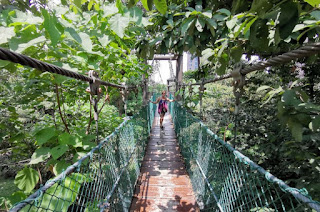 Parque de Bukit Nanas o KL Forest Eco Park.