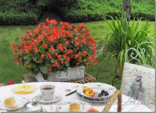 CONFESSIONS OF A PLATE ADDICT Shabby Picnic Basket Planter CONFESSIONS OF A PLATE ADDICT Shabby Picnic Basket Planter
