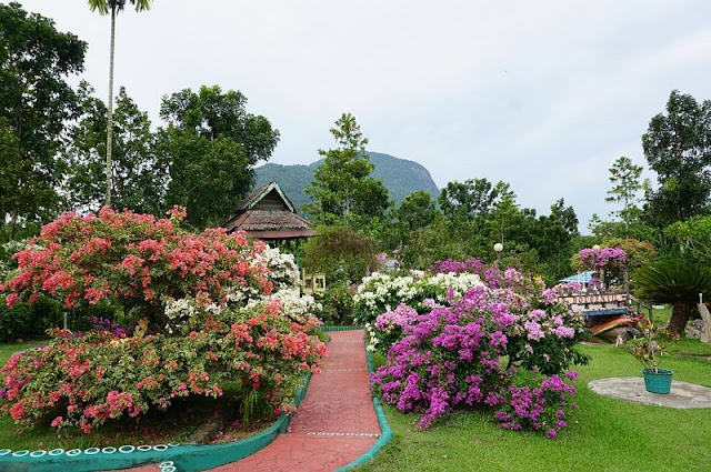 Pesona Wisata Taman Bukit Bougenville Singkawang Kalbar