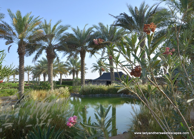 Al Dhafrah Oasis