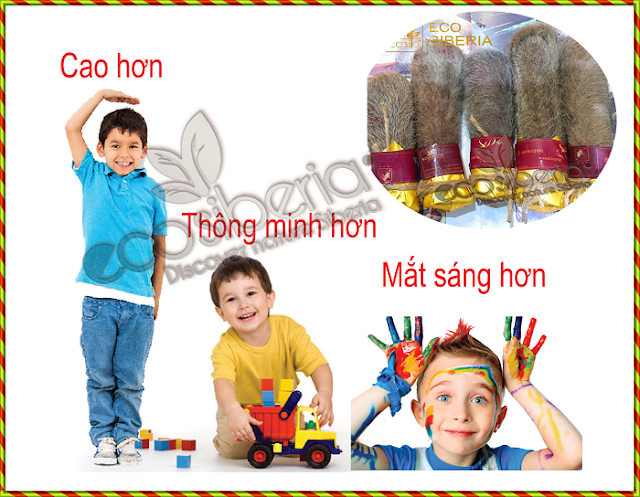 Nhung hươu cho trẻ nhỏ phát triển toàn diện