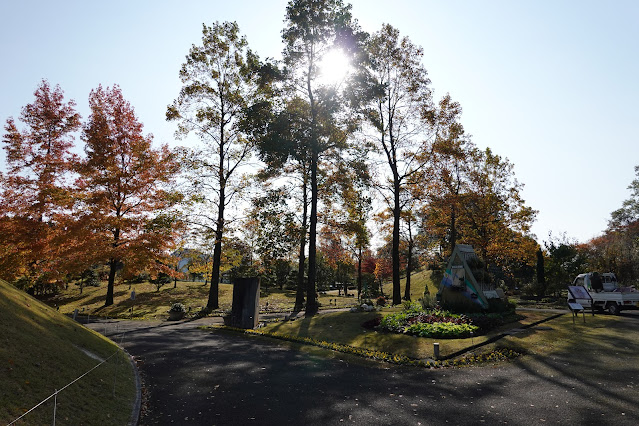 鳥取県西伯郡南部町鶴田　とっとり花回廊　木々の紅葉