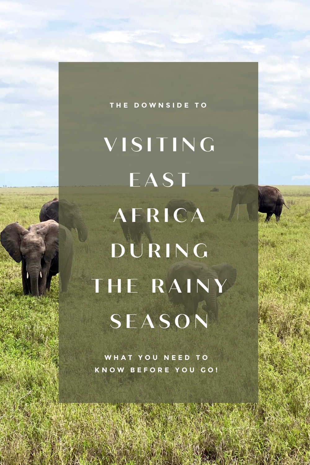 the downside to visiting east africa during the rainy season