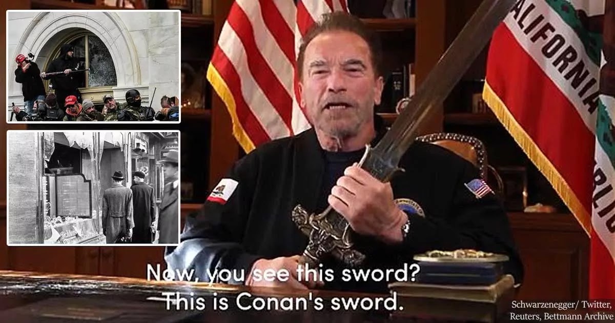 Schwarzenegger Releases Video Comparing Trump Supporters To Nazis And Pledging His Allegiance To President Biden