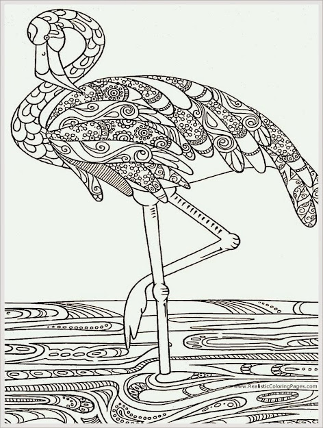 Heron Bird Adult Coloring Pages Free  Realistic Coloring Pages