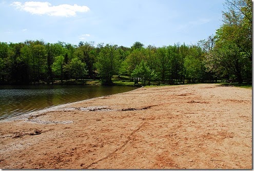 Mongaup Pond Beach