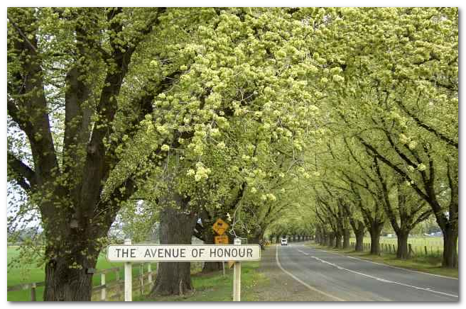 ve may bay di melbourne, uc